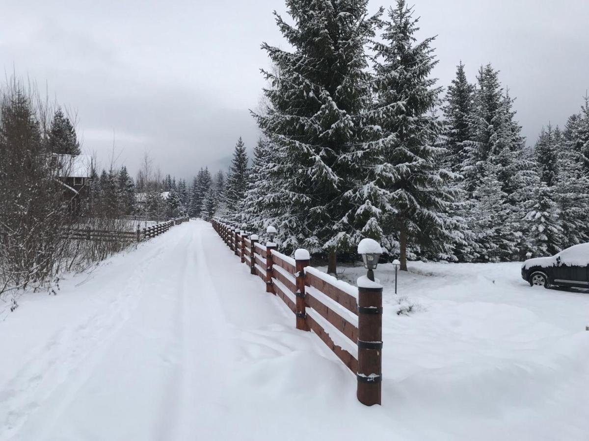 Котедж Гута Гута
