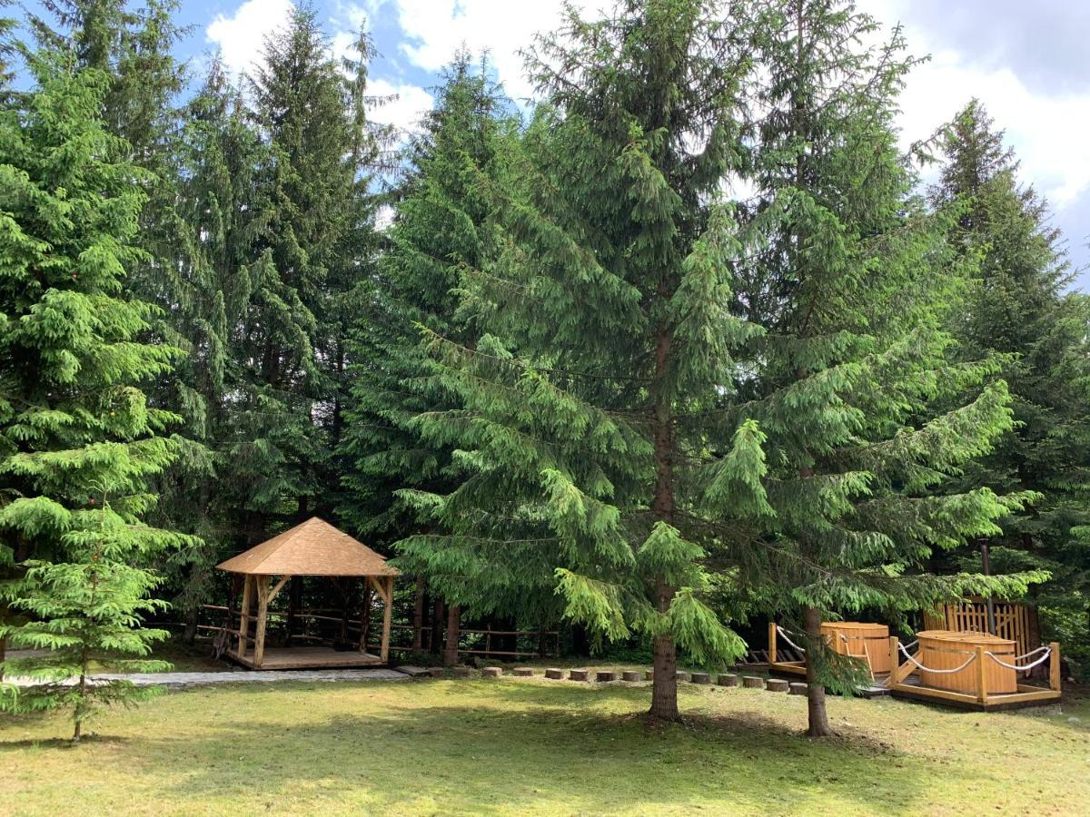 Holiday home Котедж Гута Guta