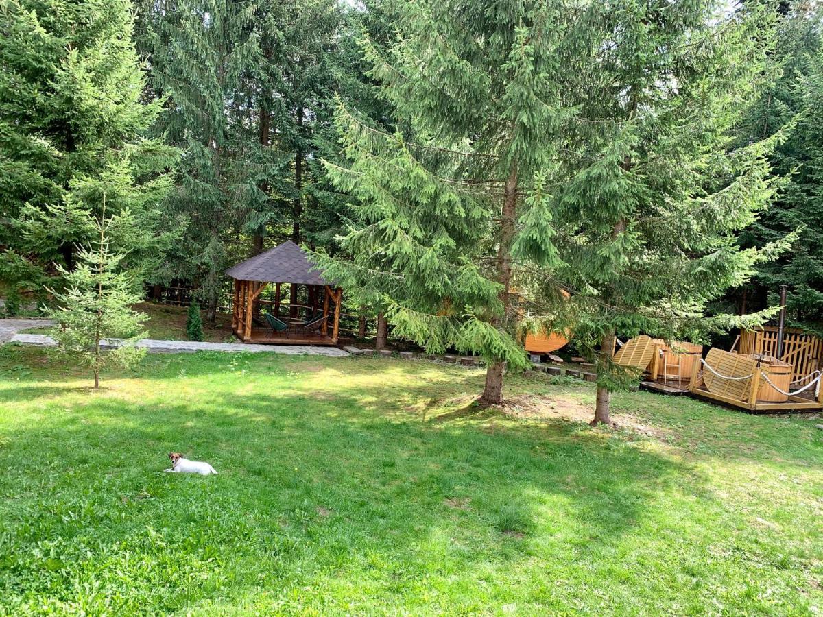 Котедж Гута Holiday home *