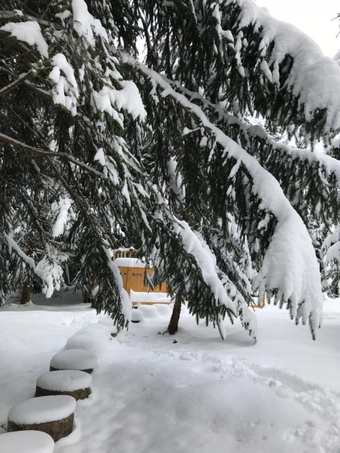 Котедж Гута Holiday home