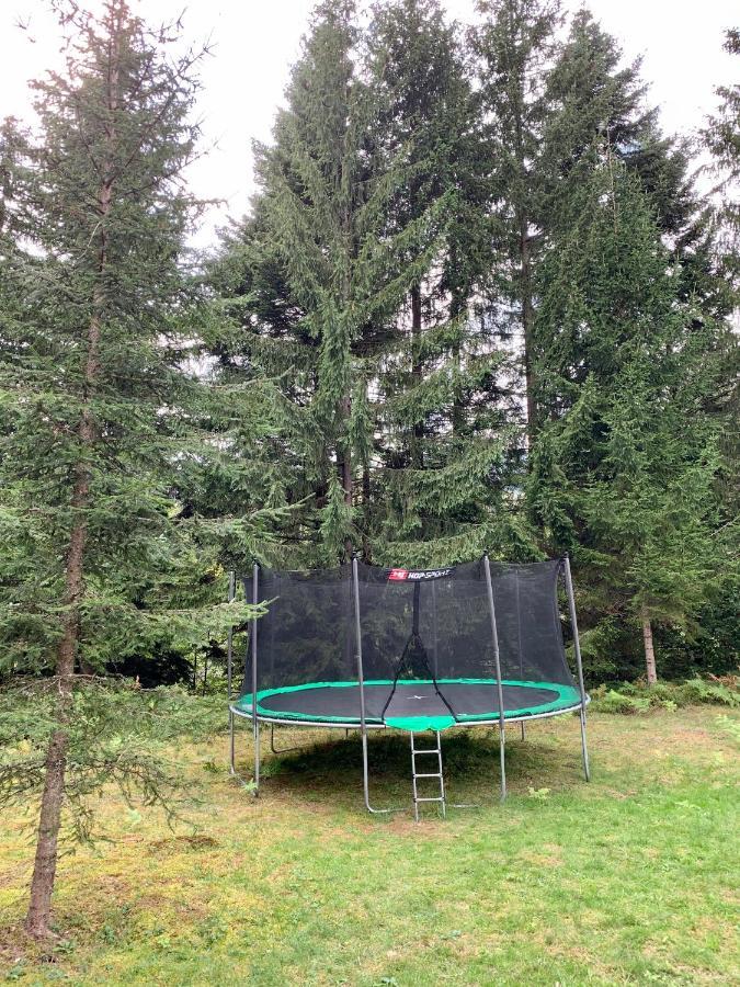 Котедж Гута Holiday home *