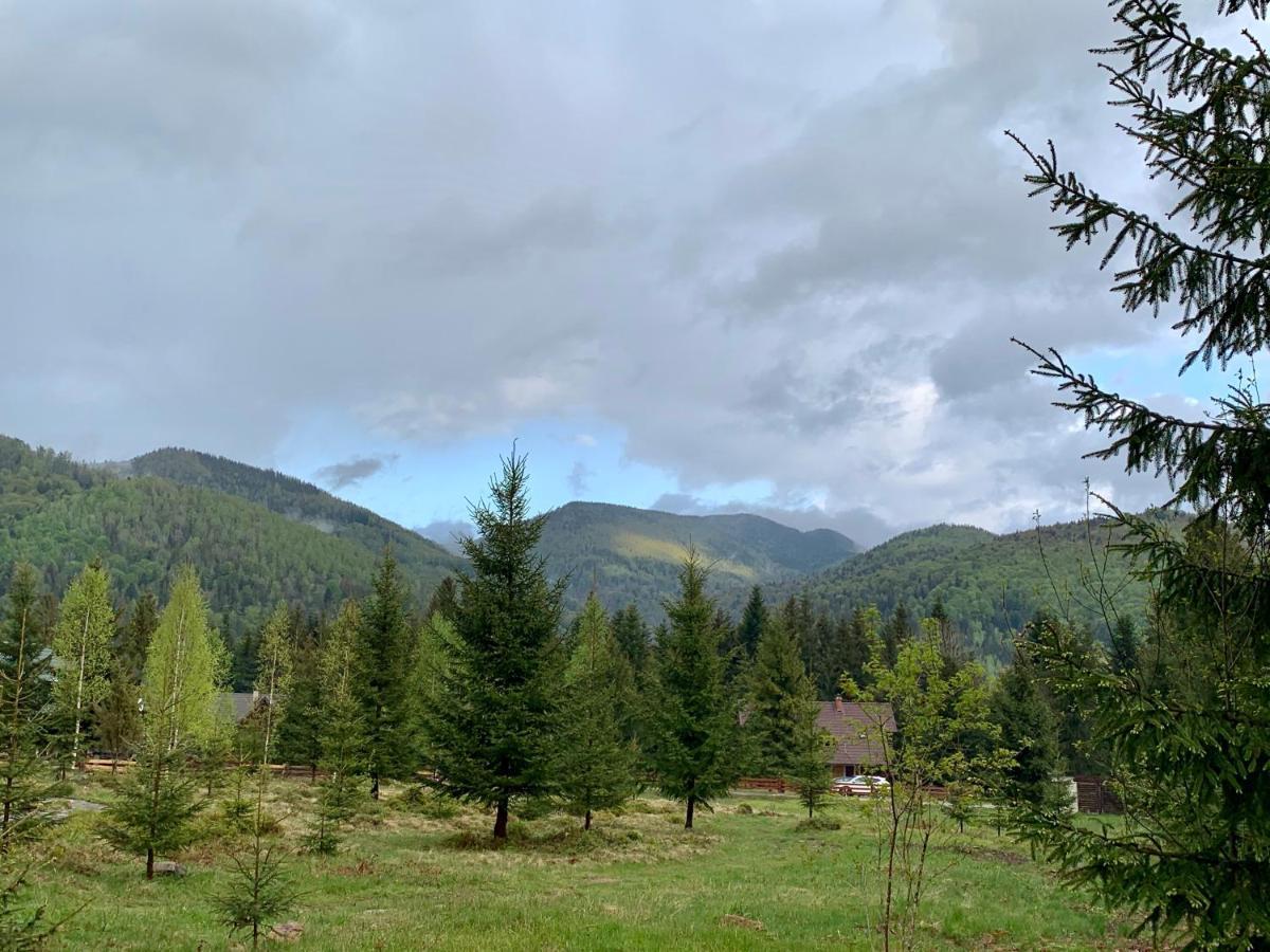 Котедж Гута Holiday home