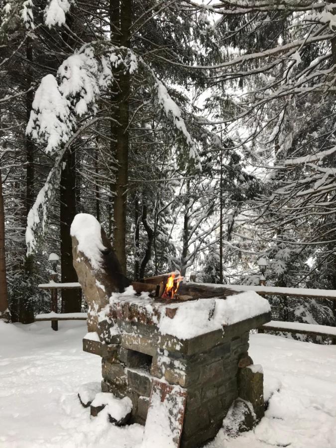 Котедж Гута Holiday home Guta