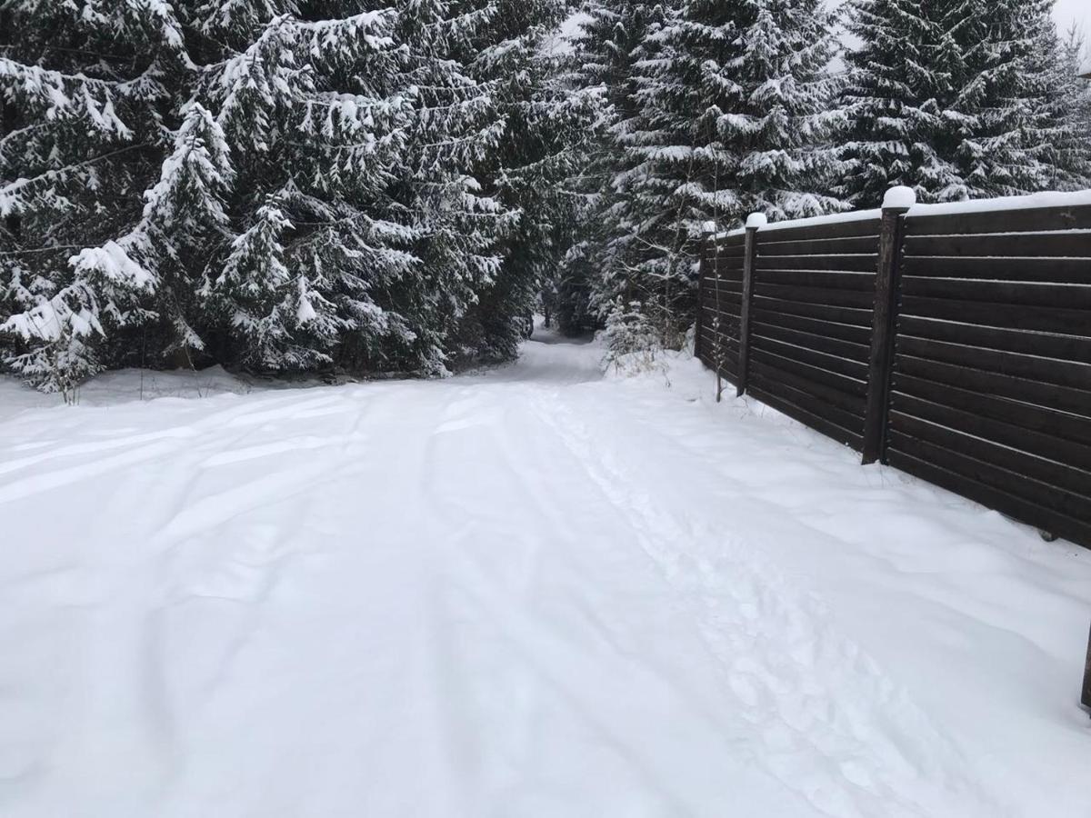 Holiday home Котедж Гута *
