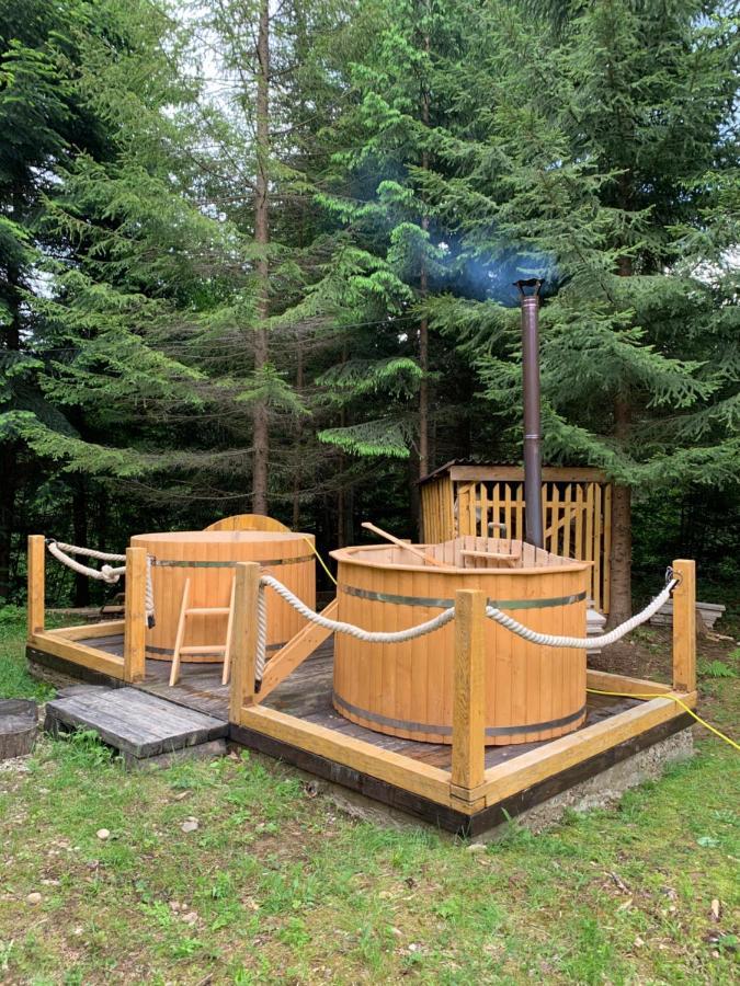 Котедж Гута Holiday home